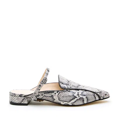 Alterre Women's Neutrals / Grey Python Pointed Loafer + Twiggy Strap