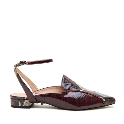 Alterre Women's Red Burgundy Python Marilyn Pointed Loafer