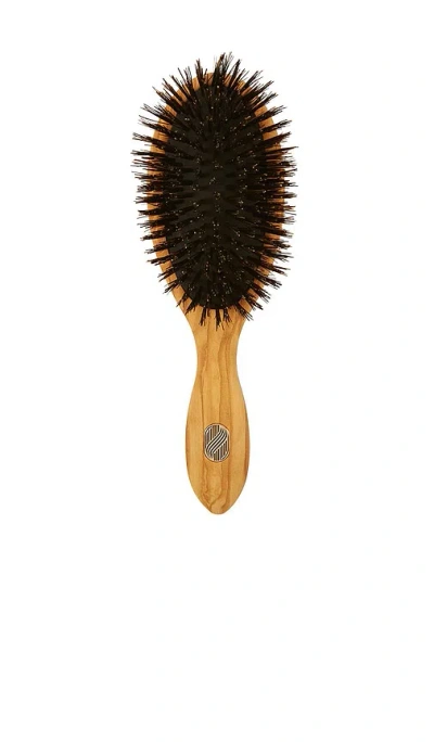Altesse Studio Beaute Classic Repair & Shine Brush Fine To Medium In Brown
