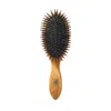 Altesse Studio Beaute Classic Repair & Shine Brush For Fine To Medium Hair In Black