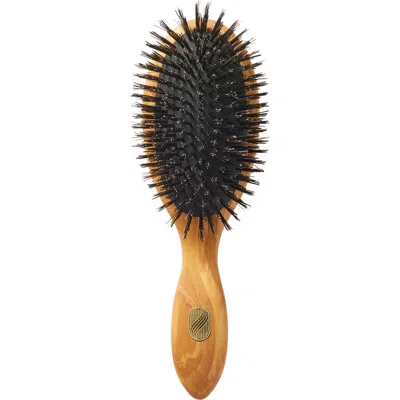 Altesse Studio Beaute Classic Repair & Shine Brush For Fine To Medium Hair In Transparent