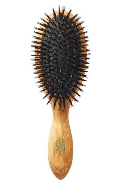 Altesse Studio Beaute Classic Repair & Shine Brush For Thick Or Curly Hair In Transparent