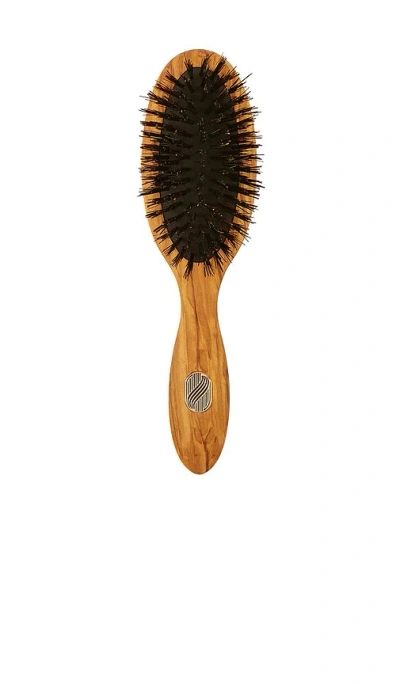 Altesse Studio Beaute Petite Repair & Shine Brush Fine To Medium In Brown