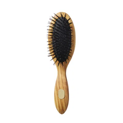 Altesse Studio Beaute Petite Repair & Shine Brush For Fine To Medium Hair