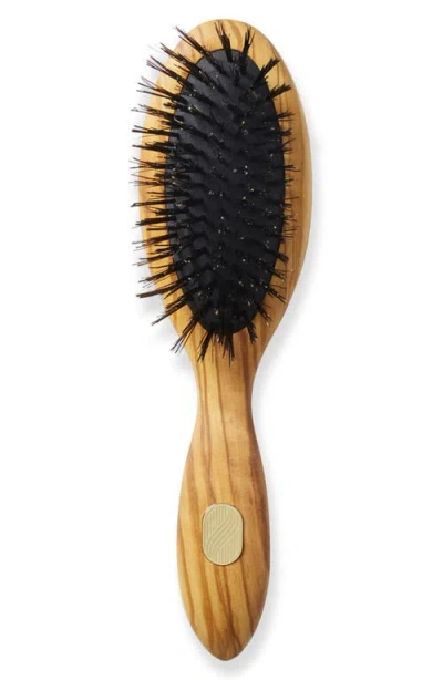 Altesse Studio Beaute Petite Repair & Shine Brush For Fine To Medium Hair In Transparent