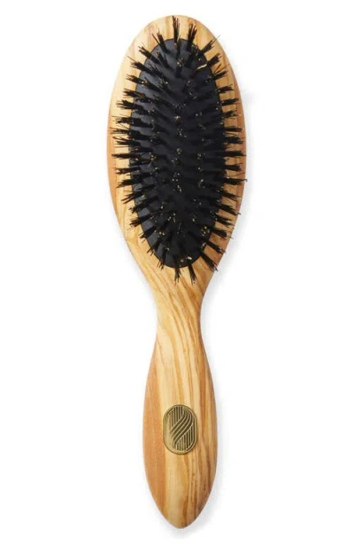 Altesse Studio Beaute Petite Repair & Shine Brush For Thick Or Curly Hair In Brown
