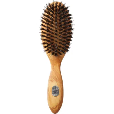 Altesse Studio Prestige Repair & Shine Brush For All Hair Types In No Color