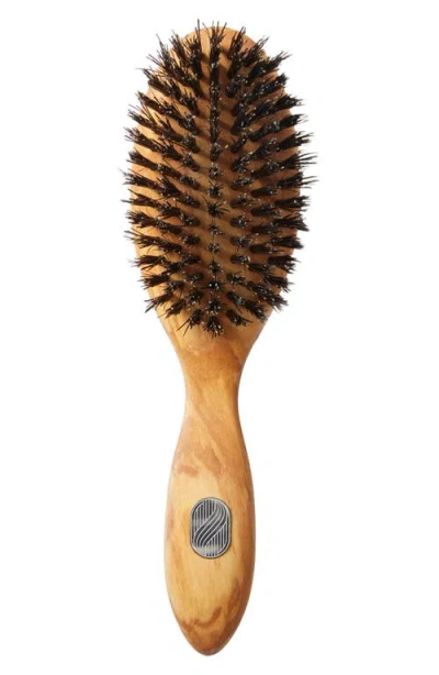 Altesse Studio Prestige Repair & Shine Brush For All Hair Types In Brown