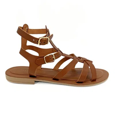 Altramoda Redressing The World Brown Lido Gladiator Sandals For Women In Vegetable-tanned Leather - Tan