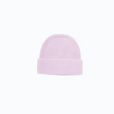 Altramoda Redressing The World Women's Pink / Purple Basic Beanie With Cuff In Responsible Wool And Cashmere Pink