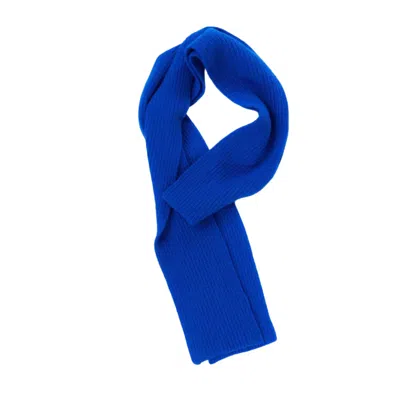 Altramoda Redressing The World Women's Snake Scarf In Blue Responsible Wool And Cashmere.