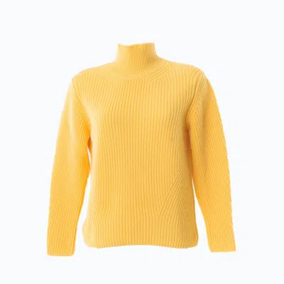 Altramoda Redressing The World Yellow / Orange Women's Oversized Turtleneck Sweater In Responsible Wool And Cashmere Pineapple Yell In Yellow/orange