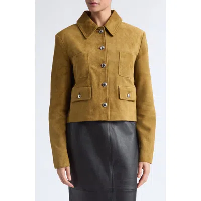 Altuzarra Astley Suede Jacket In Brown