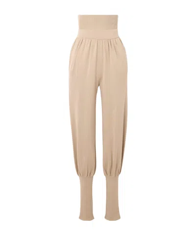 Altuzarra Elastic Waist Casual Pants In Brown