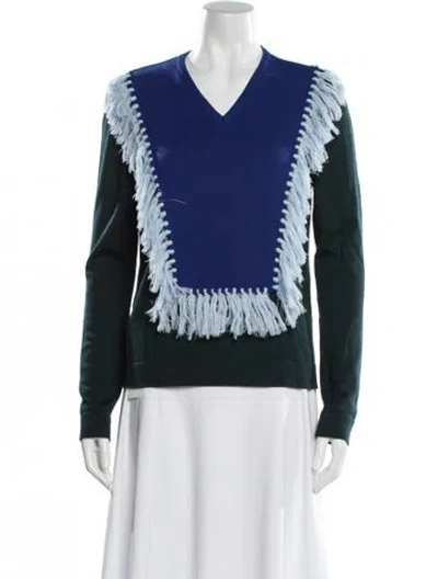 Pre-owned Altuzarra Merino Wool Printed Sweater In Blue