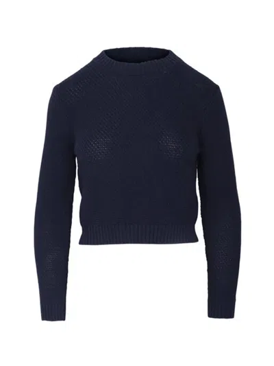 Altuzarra Pogo Cropped Sweater In Blue
