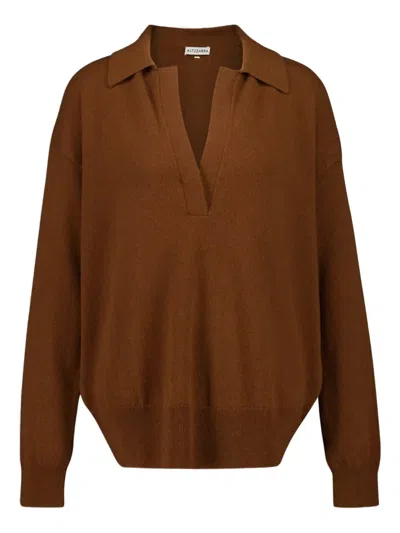 Altuzarra Zaq V-neck Cashmere Sweater In Brown
