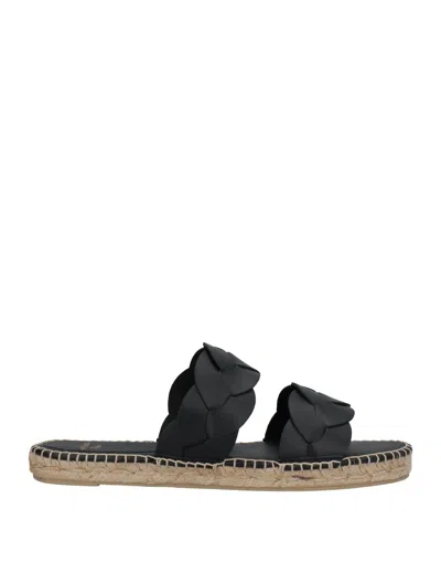 Altuzzara X Castañer Sandals In Black