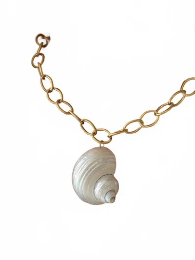 Alv Jewels Turbo Shell Necklace In White Gold In Multi