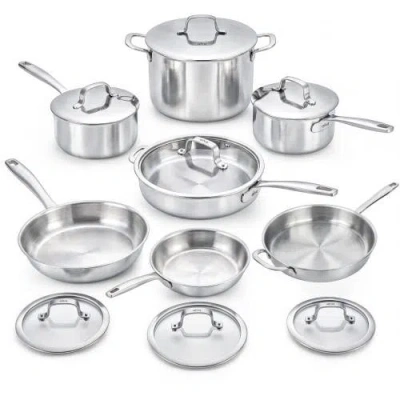 Alva Maestro 5-ply Stainless Steel Cookware Set In Silver