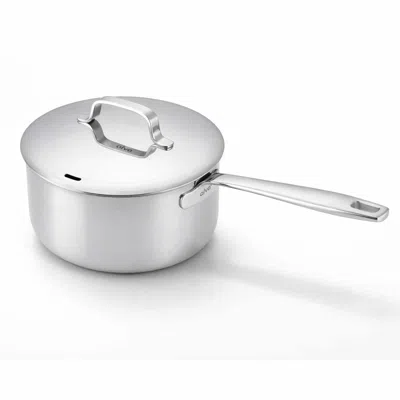 Alva Mastero 1.7-quart Saucepan With Lid, 6.3-inch, Stainless Steel In Silver