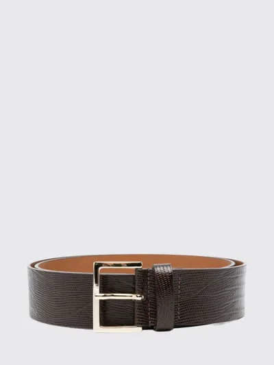 Alysi Belt Woman In Brown