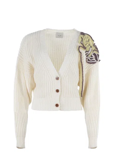 Alysi Cardigan  Wool Blend In Neutral