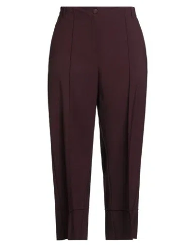 Alysi Chocolat Woman Pants Burgundy Size 8 Polyester, Virgin Wool, Elastane