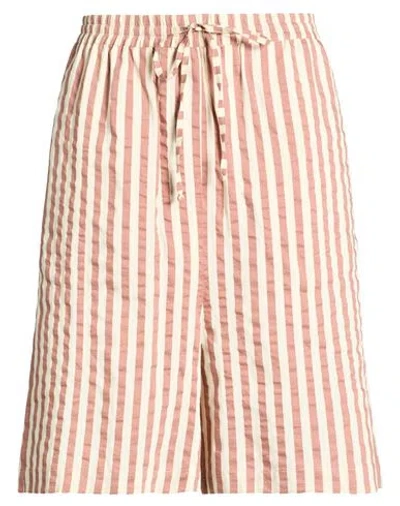 Alysi Chocolat Woman Shorts & Bermuda Shorts Antique Rose Size 6 Viscose, Cotton, Silk In Pink