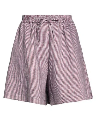 Alysi Chocolat Woman Shorts & Bermuda Shorts Burgundy Size 6 Linen, Polyamide In Purple