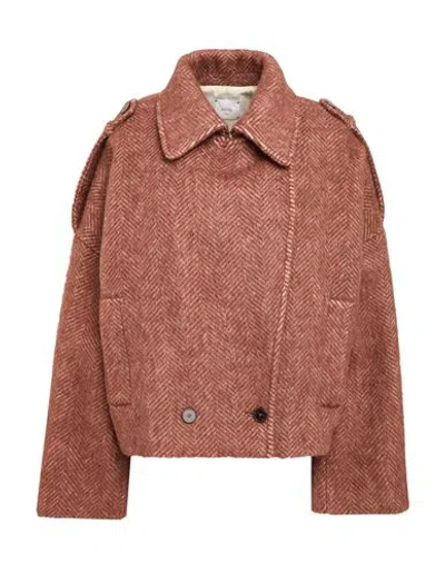 Alysi Crème Woman Jacket Brown Size 6 Virgin Wool, Alpaca Wool, Polyamide