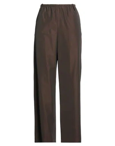 Alysi Crème Woman Pants Dark Brown Size 10 Virgin Wool, Polyamide