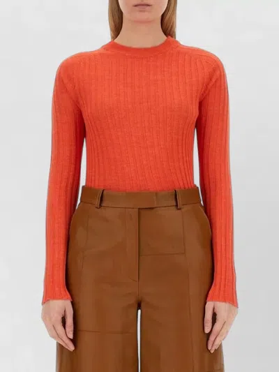 Alysi Crew Neck Slim Fit Ribbed Knit Top In Orange