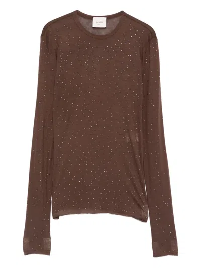 Alysi Embellished Wool Top In Brown