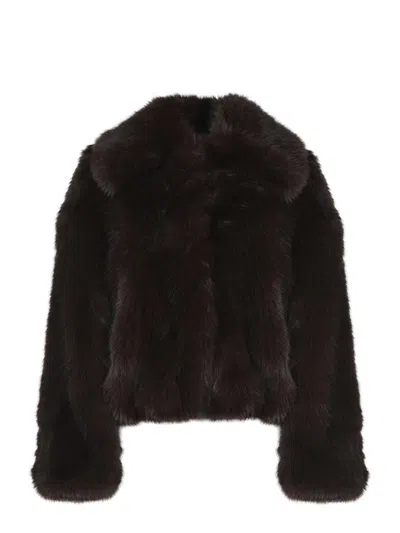 Alysi Jackets In Brown