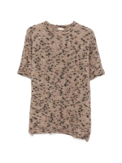 Alysi Leopard-print Short-sleeve Sweater In Brown