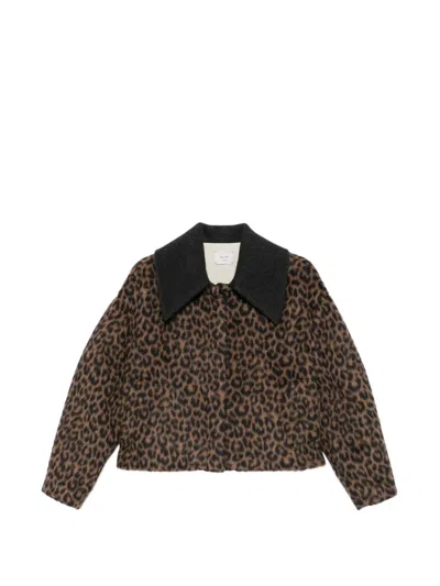 Alysi Leopard-print Wool Jacket In Multi