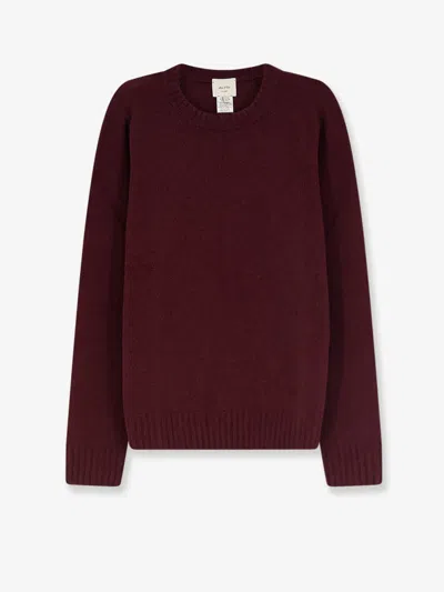 Alysi Merino Wool And Cashmere Blend Sweater In Burgundy