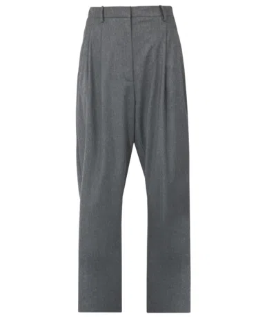 Alysi Pants In Gray