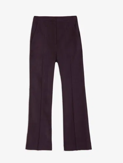 Alysi Pants In Purple
