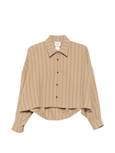 Alysi Pinstripe-pattern Cropped Shirt In Brown