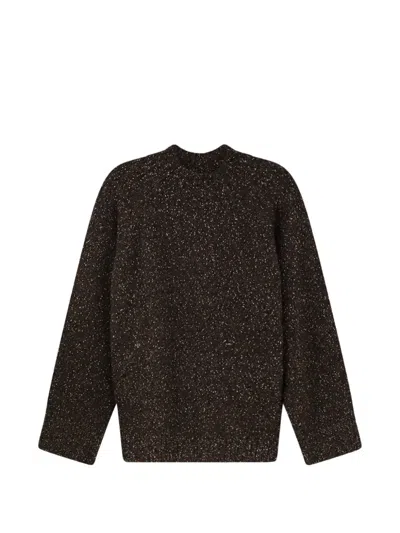 Alysi Raglan-sleeve Sweater In Brown