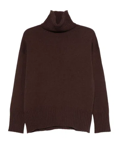 Alysi Ribbed Turtleneck Sweater In Brown