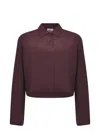 Alysi Pointed Collar Long-sleeved Shirt In Brown
