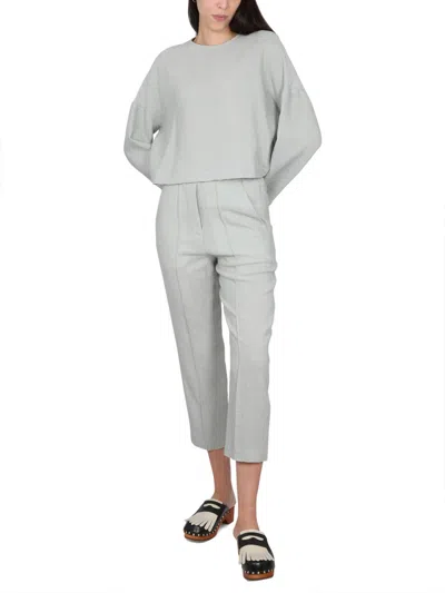 Alysi Virgin Wool Viscose Blend Trousers In Gray