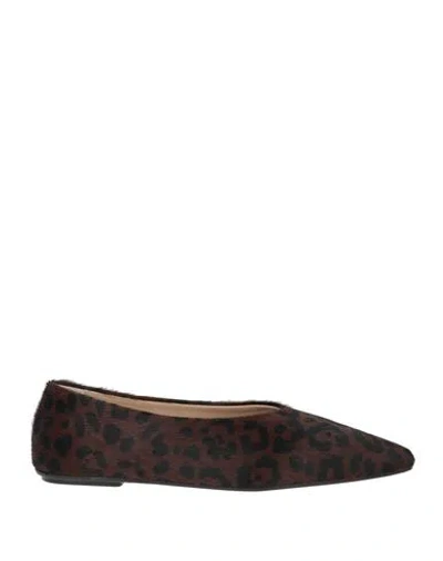 Alysi Woman Ballet Flats Chocolate Brown Size 9 Leather In Animal Print