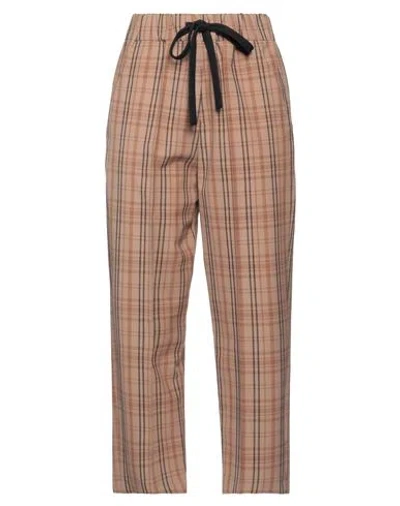 Alysi Woman Pants Camel Size 8 Polyester, Virgin Wool, Elastane In Brown