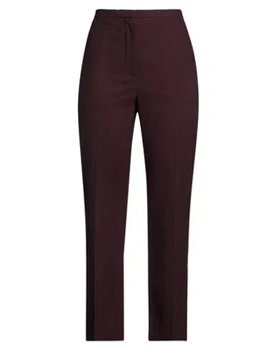 Alysi Woman Pants Plum Size 6 Viscose, Polyester, Wool, Elastane In Brown