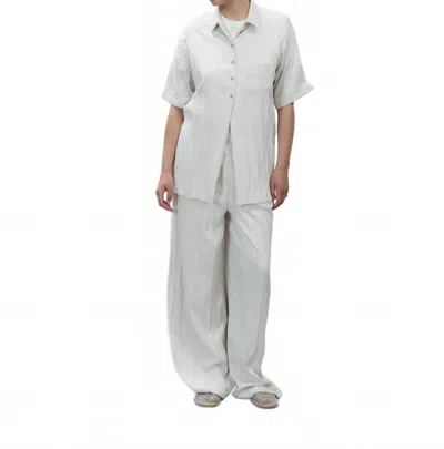 Alysi Wrinkled Dainetto Shirt In Plaster In White