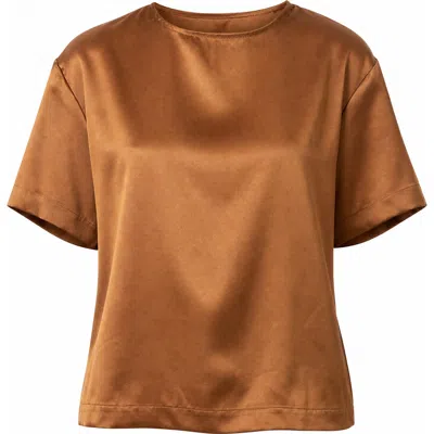 Alyson Eastman Roxi Top In Brown